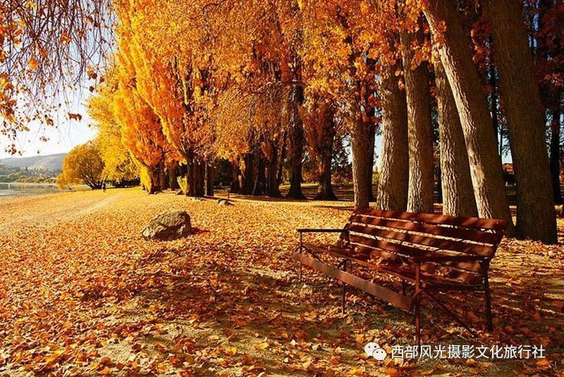 引球进框