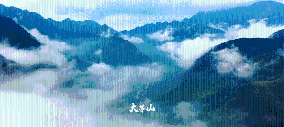 彩块跑酷