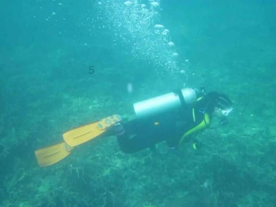 2023年老黄历最准确版本游戏画面