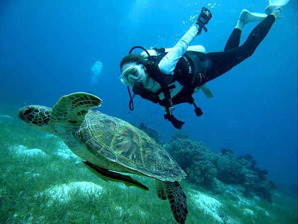 流放骑士