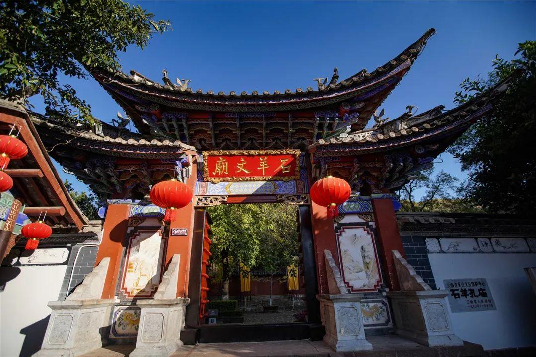 救援紫色生物
