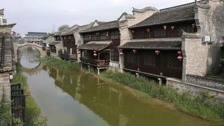 组装机械机甲暴龙2